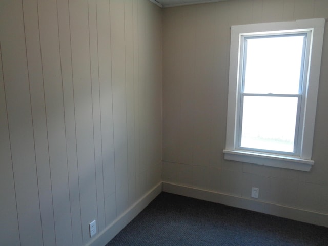 carpeted spare room featuring a wealth of natural light and wood walls