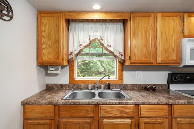 kitchen with range with electric cooktop and sink