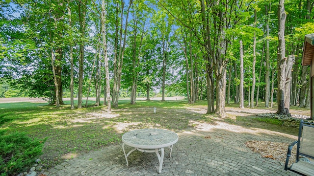 view of yard with a patio area