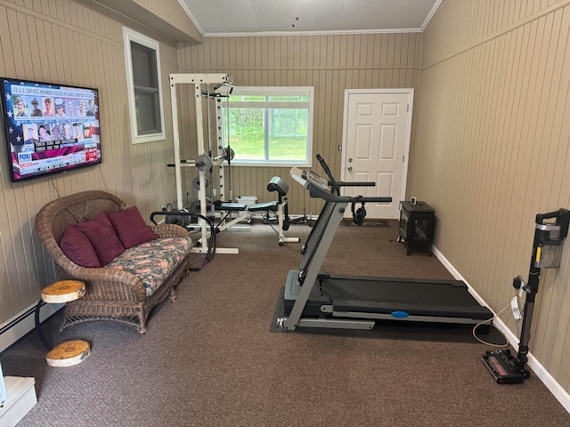 exercise area featuring wooden walls and crown molding