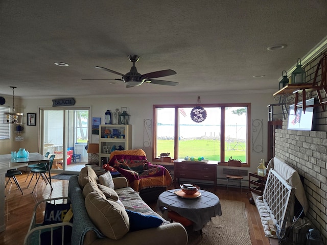 living room with ornamental molding, wood-type flooring, a healthy amount of sunlight, and a textured ceiling