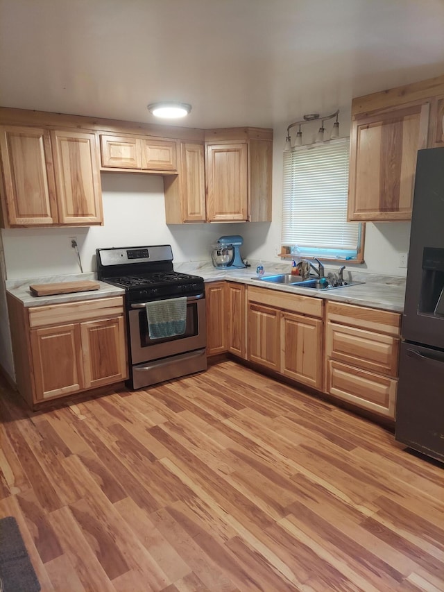 kitchen with stainless steel appliances, light hardwood / wood-style floors, and sink