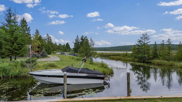 dock area featuring a water view