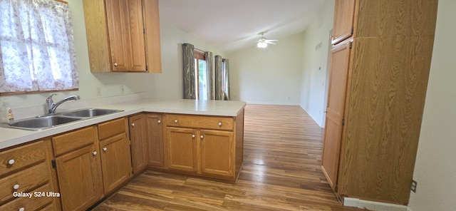 kitchen featuring plenty of natural light, dark wood-type flooring, and kitchen peninsula