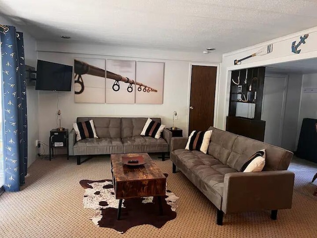 living room featuring carpet and a textured ceiling