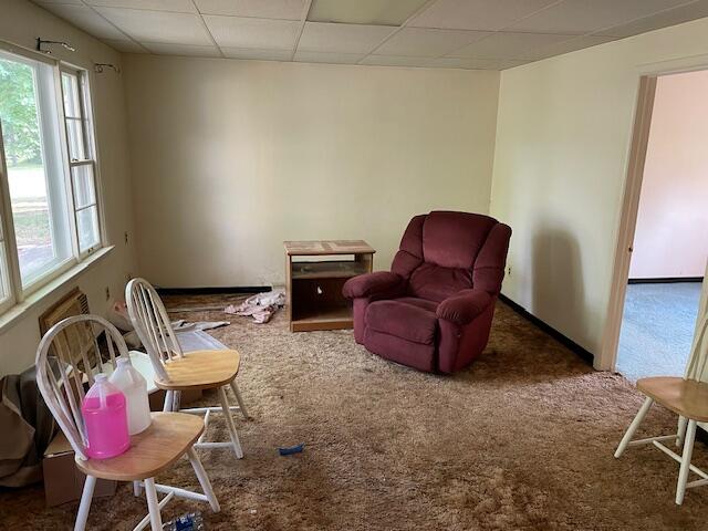 living area featuring carpet floors and a paneled ceiling