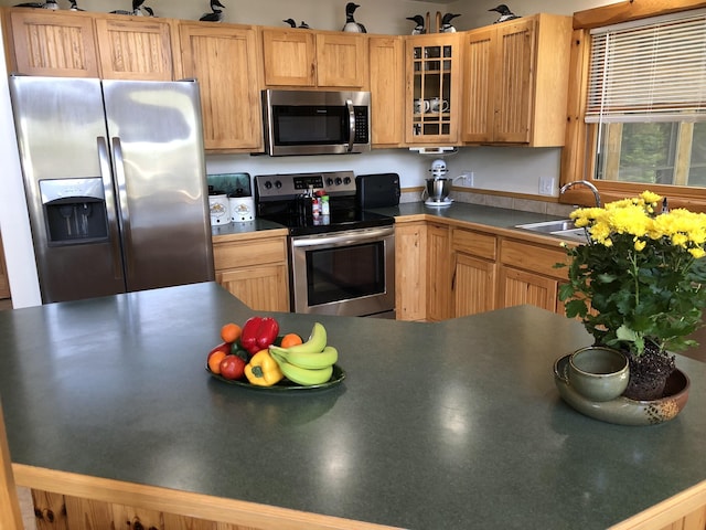 kitchen featuring sink, stainless steel appliances, and light brown cabinets