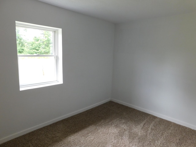 spare room with a healthy amount of sunlight and carpet floors