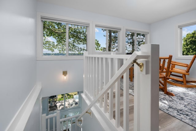 staircase with wood-type flooring and plenty of natural light