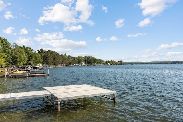 dock area featuring a water view