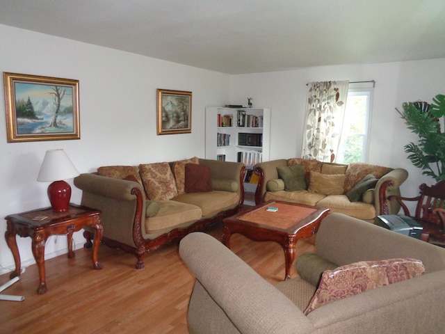 living room featuring light hardwood / wood-style floors