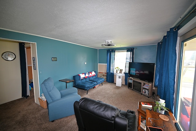 living room featuring carpet floors and a textured ceiling