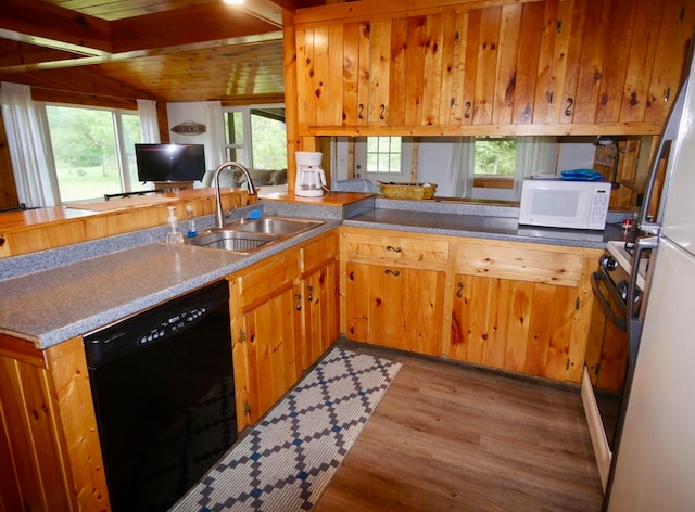 kitchen featuring sink, black dishwasher, a healthy amount of sunlight, and light hardwood / wood-style flooring