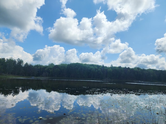 property view of water with a wooded view