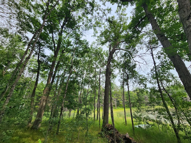 view of local wilderness