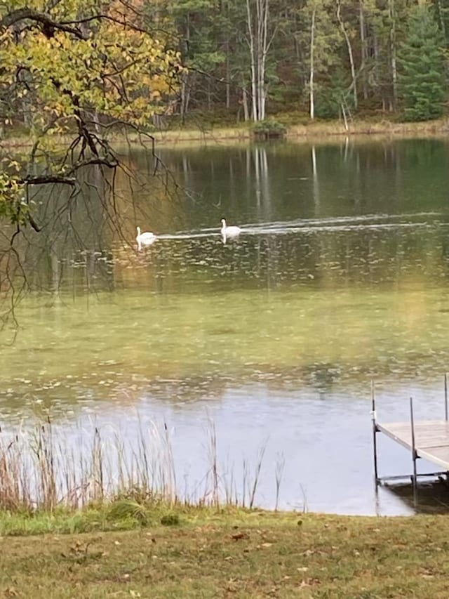 water view with a boat dock