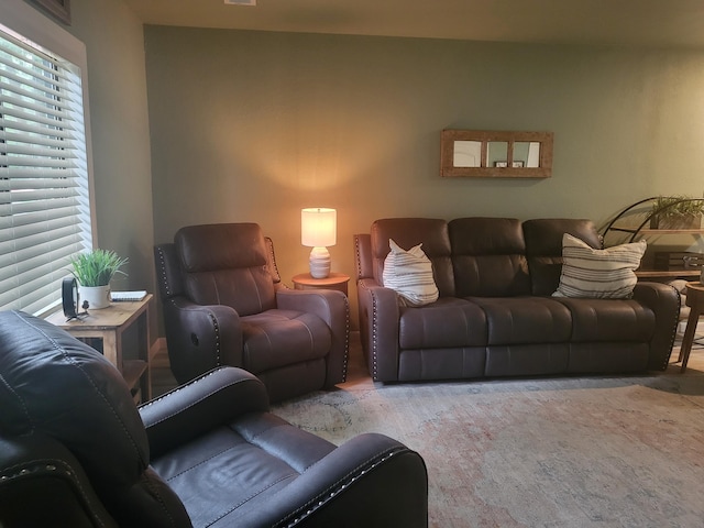 living room with plenty of natural light