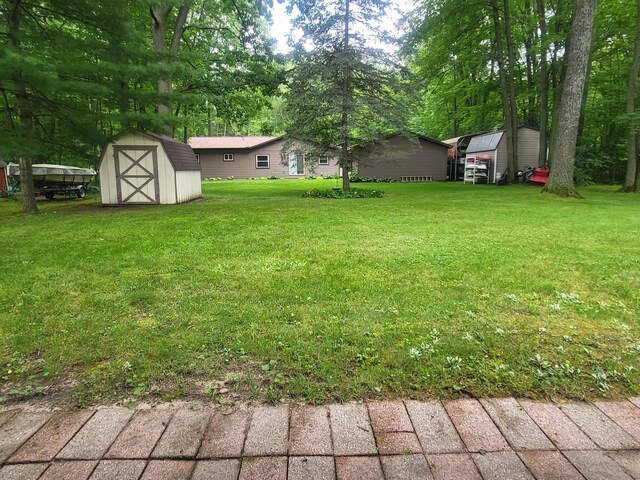 view of yard featuring a storage unit