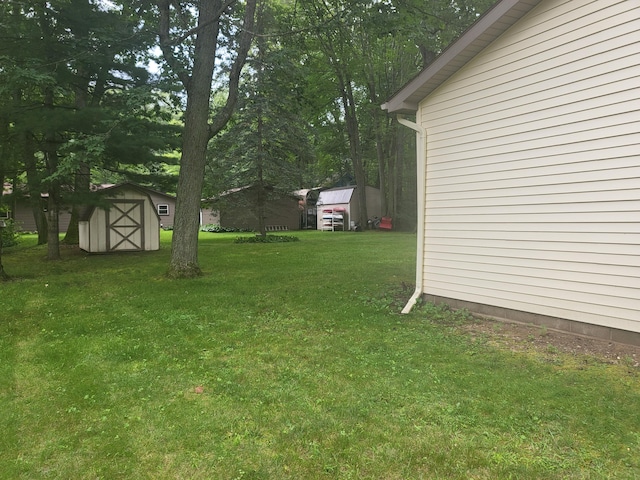 view of yard featuring a storage unit