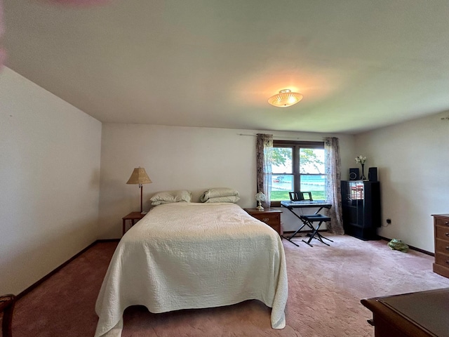 bedroom with carpet flooring