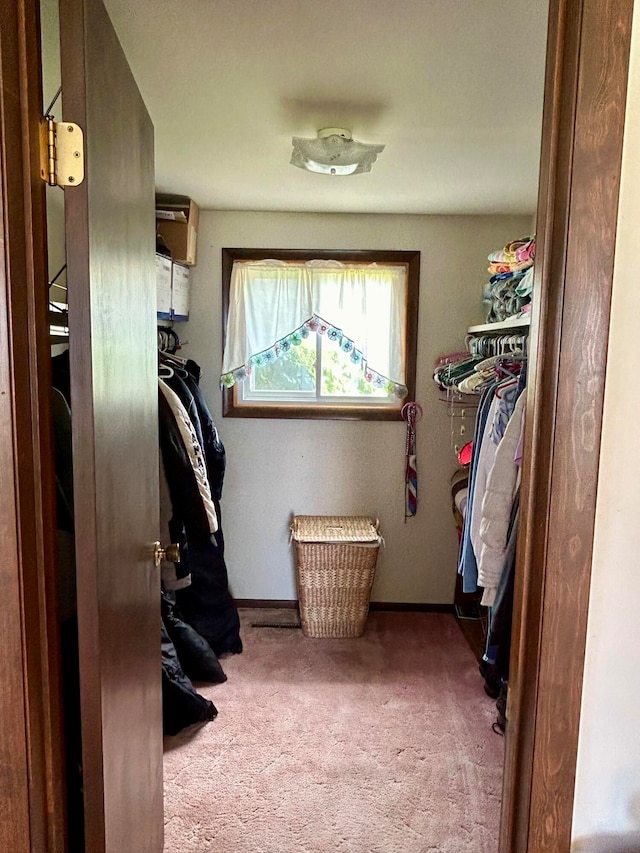 walk in closet featuring carpet floors