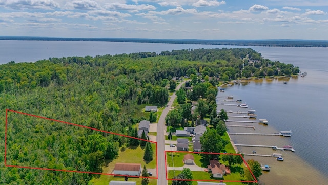 bird's eye view with a water view