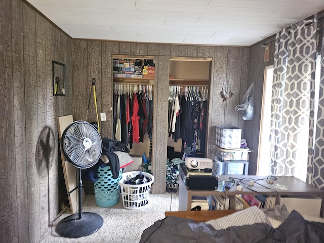 interior space featuring wood walls, carpet floors, and a closet