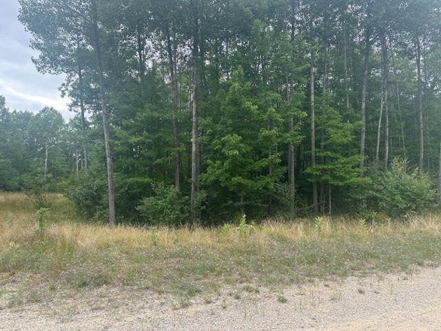 37-39 Vera Ln, Roscommon MI, 48653 land for sale