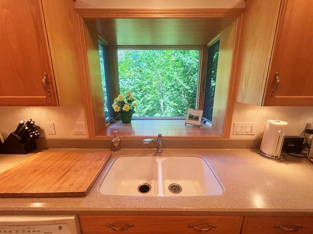 kitchen featuring light countertops and a sink