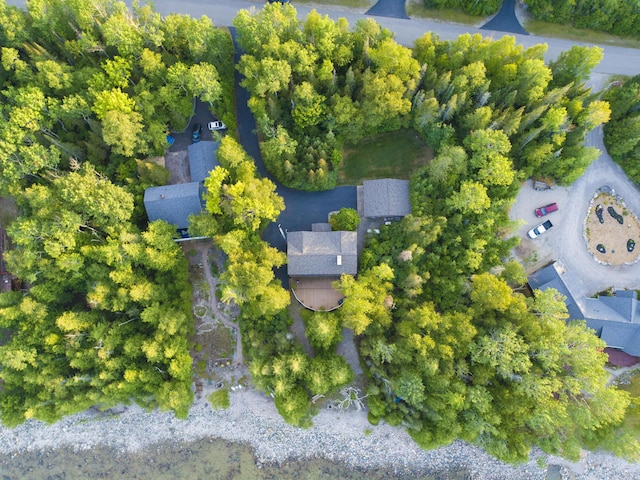 drone / aerial view