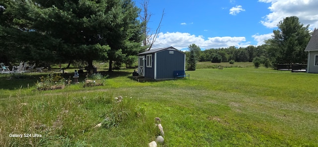 view of yard featuring a shed