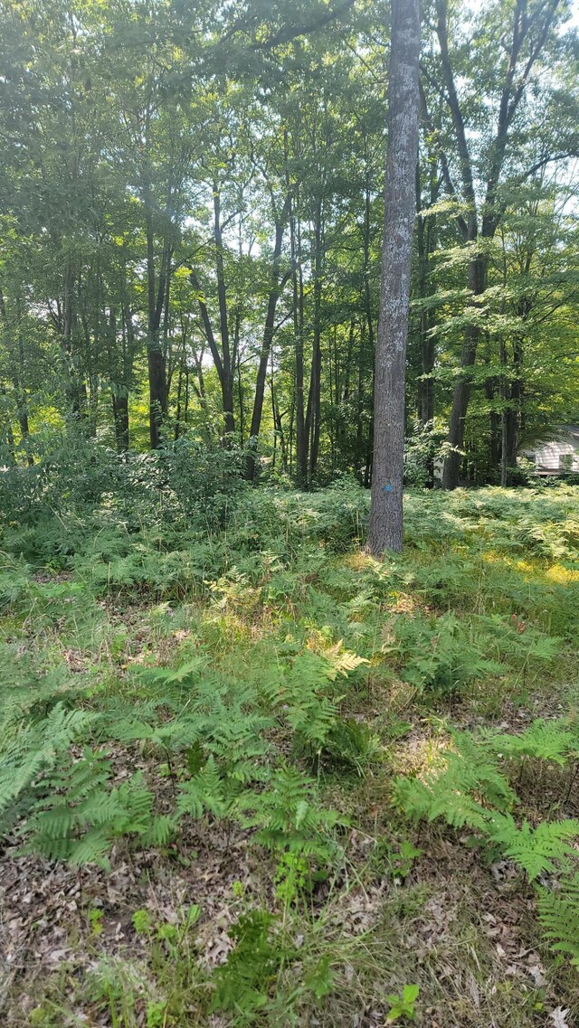 XXX Springwood Dr Lot 91, Prudenville MI, 48651 land for sale