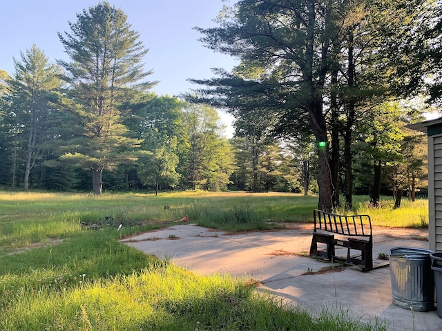 view of community with a patio area