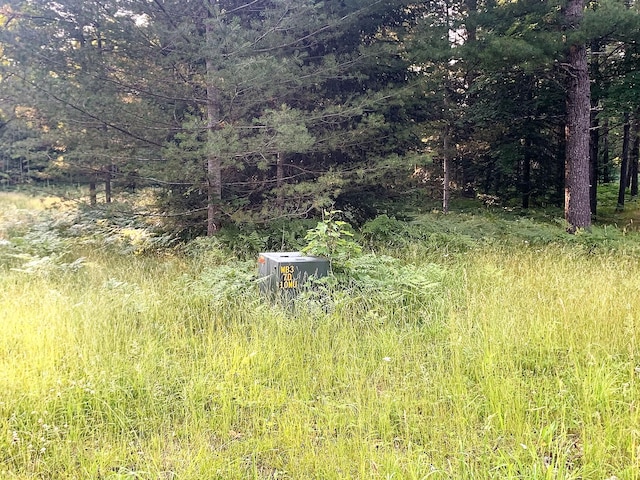 view of local wilderness