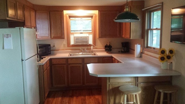 kitchen featuring sink, white fridge, dark hardwood / wood-style floors, and a healthy amount of sunlight