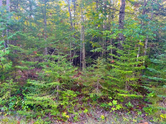 Renwick Circle Lot 66 & 67, Presque Isle MI, 49777 land for sale