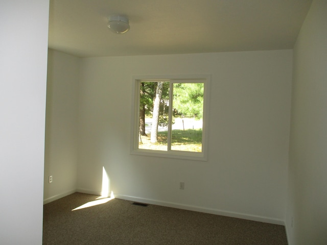 spare room featuring carpet