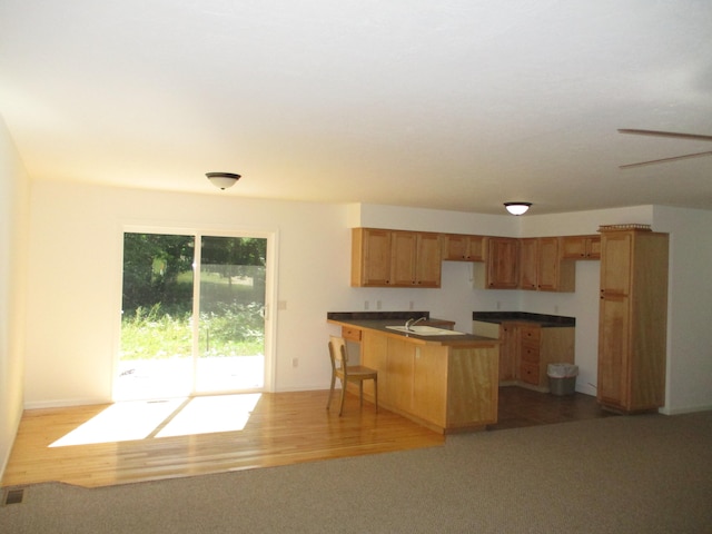 kitchen with carpet, a breakfast bar, sink, and ceiling fan