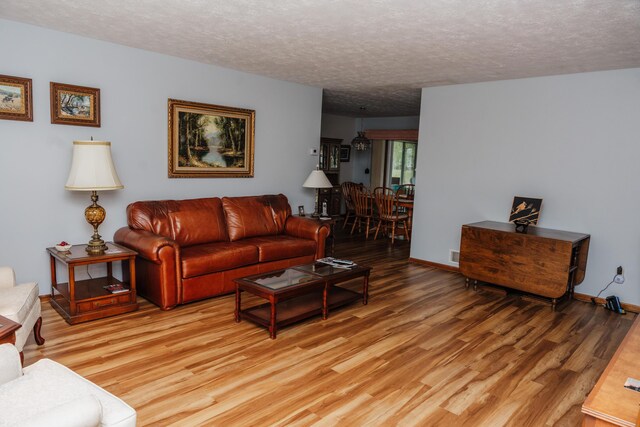 living room with a textured ceiling and light hardwood / wood-style floors