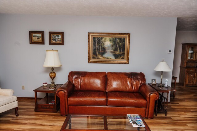 living room featuring a textured ceiling and hardwood / wood-style floors