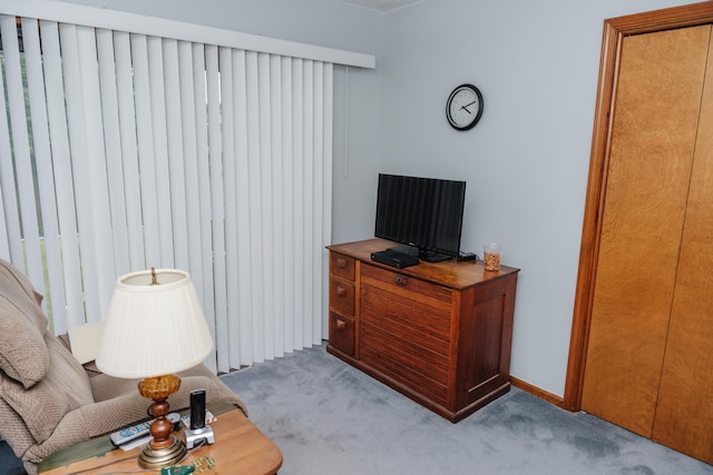 living room featuring light colored carpet