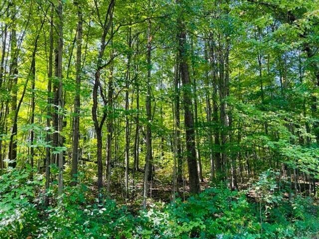 Listing photo 2 for LOT27 Fairway Dr, Roscommon MI 48653