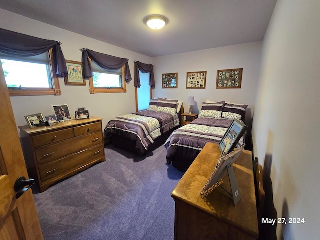 bedroom featuring multiple windows and carpet flooring