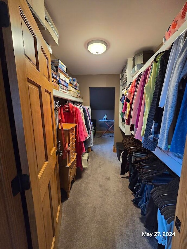 spacious closet featuring carpet flooring