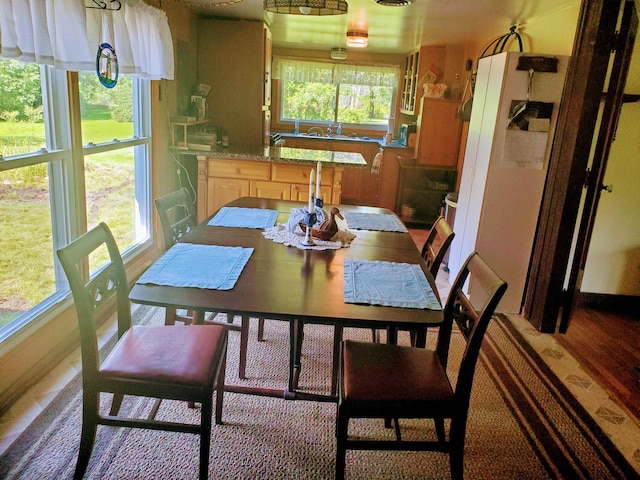 dining room with hardwood / wood-style floors, a wealth of natural light, and sink