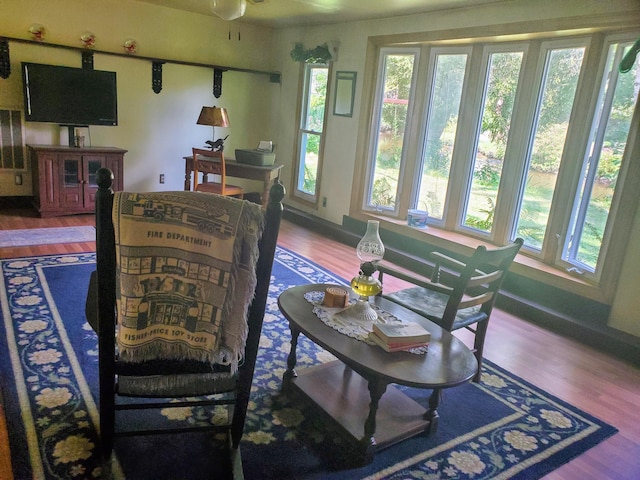 dining room featuring ceiling fan and hardwood / wood-style flooring