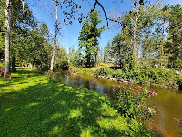 view of yard with a water view