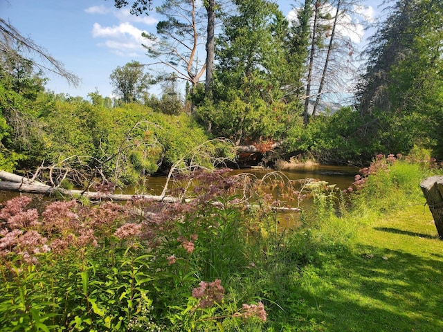 view of landscape featuring a water view