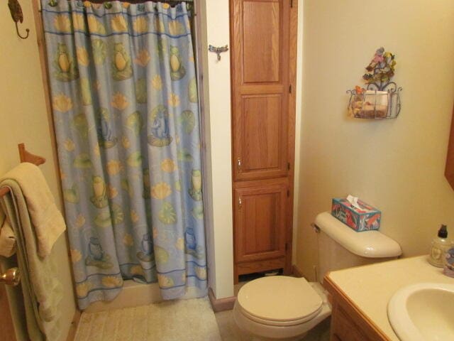 bathroom featuring vanity, toilet, and a shower with shower curtain