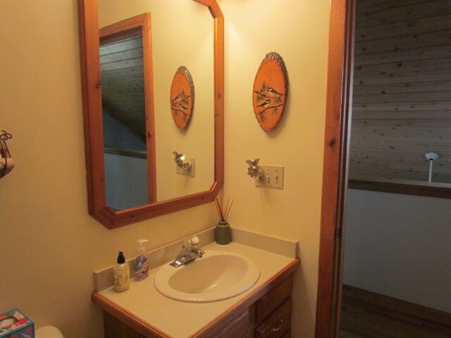 bathroom featuring vanity and hardwood / wood-style floors